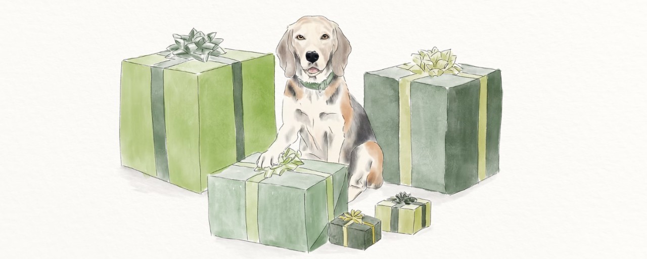 Amedeo e Domitilla's Wedding